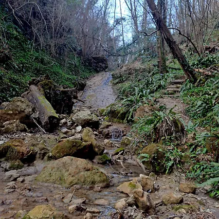 Colline Di